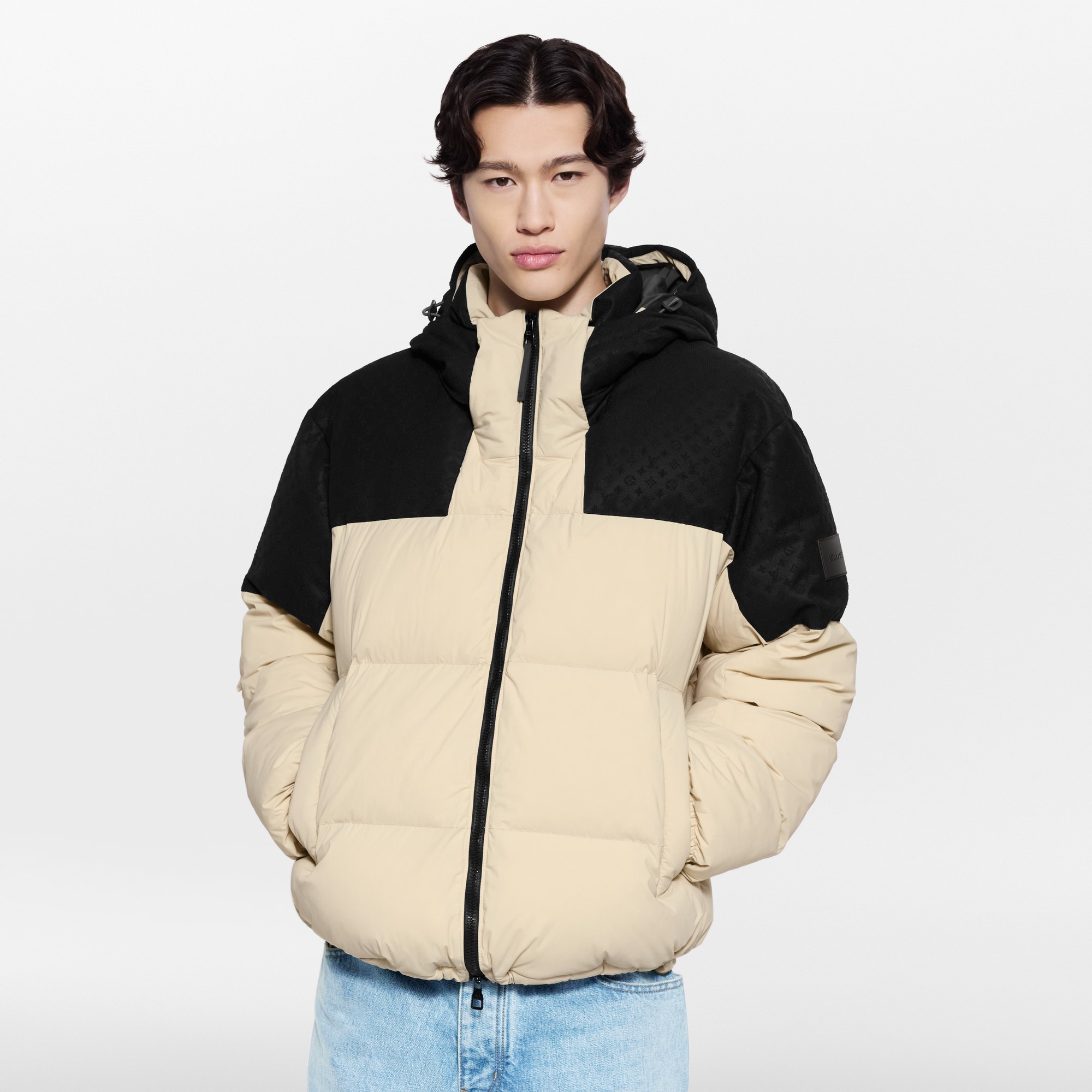 Placed Monogram Ecodown Blouson - Ready-to-Wear 1AJAZT | LOUIS VUITTON